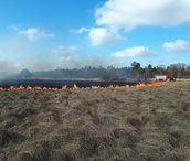 natuurbrand Deelense veld 2018