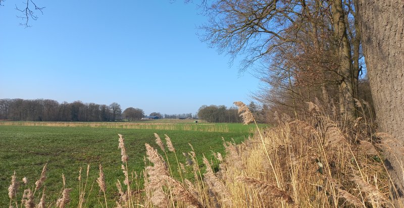 Zicht vanaf het Kloosterbos op de voormalige locatie van Klooster Nazareth.