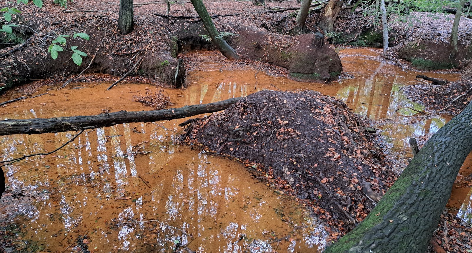 Sprengen met roestrood water door ijzer
