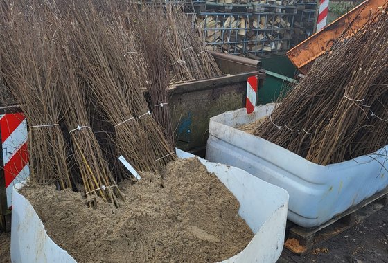 water ressevoir met ingekuilde plantsoen