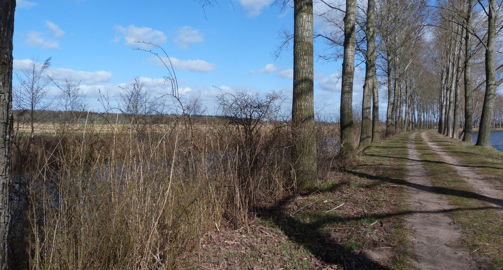 Populierenlaan waterschap Vechtstromen