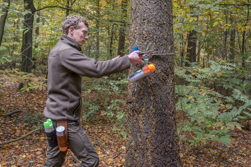 Meetwerk in het bos - bosbeheer