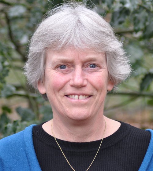marjolein nieuw
