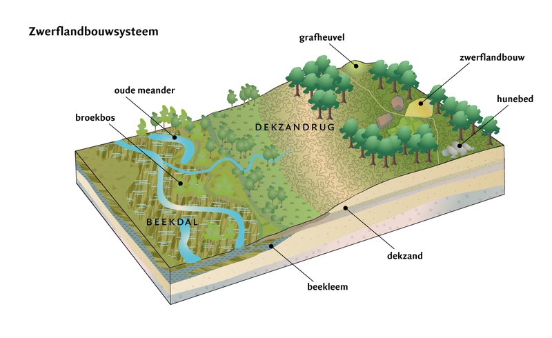 Een dwarsdoorsnede van een bodemprofiel, met onder andere waterstromen en verschillende lagen (Bron: Explanation Design)