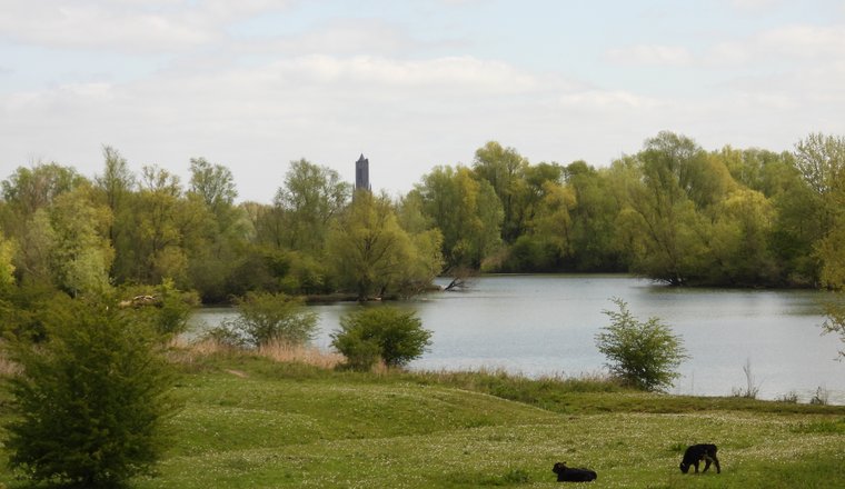 Arnhem-6