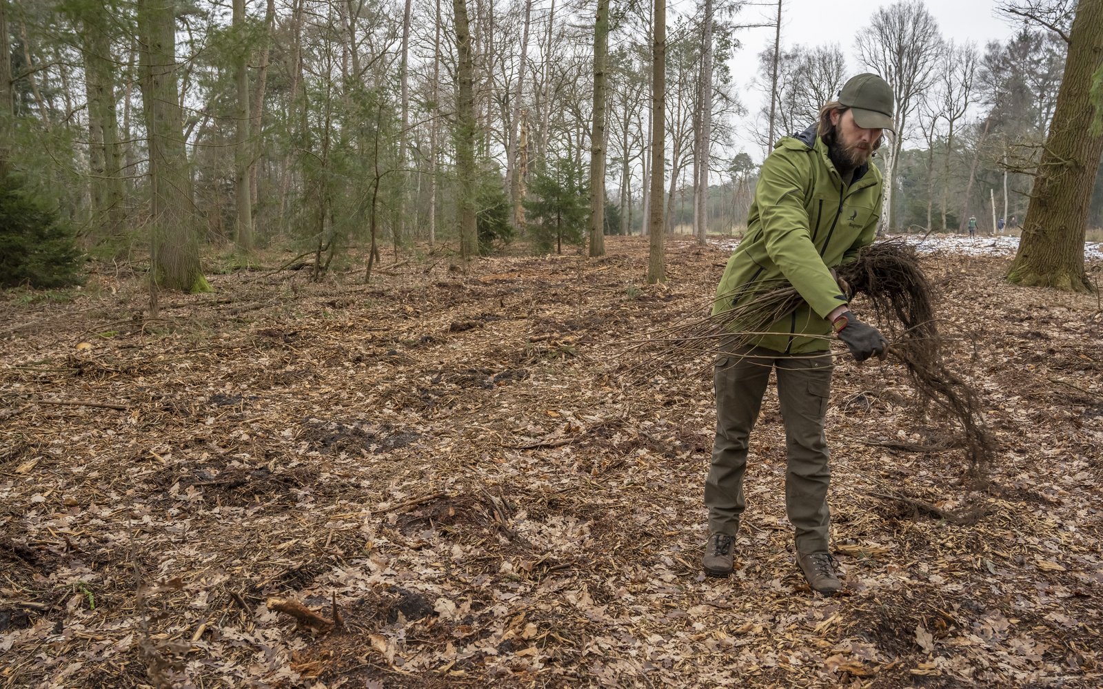 plantsoen verdelen bosgroepen