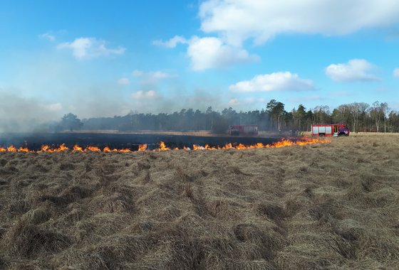natuurbrand Deelense veld 2018