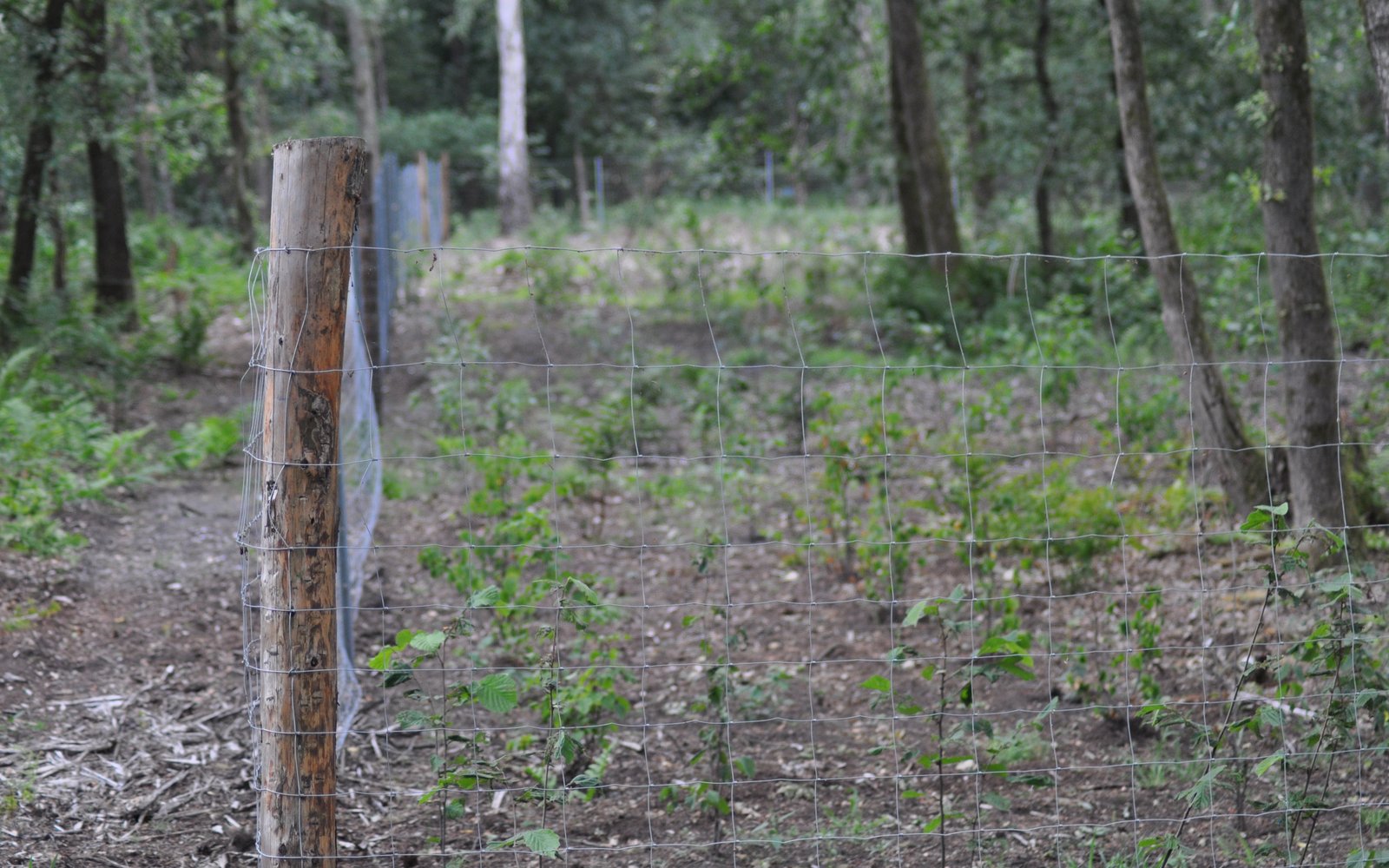 raster wildbescherming