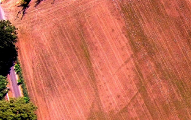 Dronebeeld Weleveld