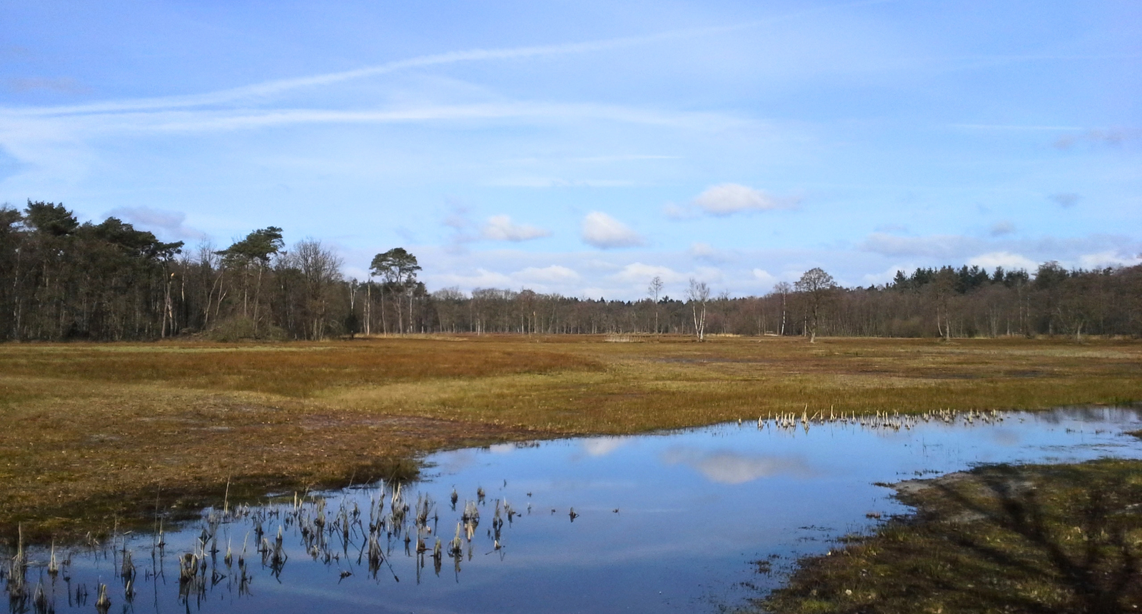 Wisselse Veen