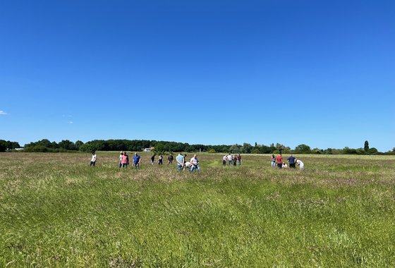 Graslandcursus-Reuver2