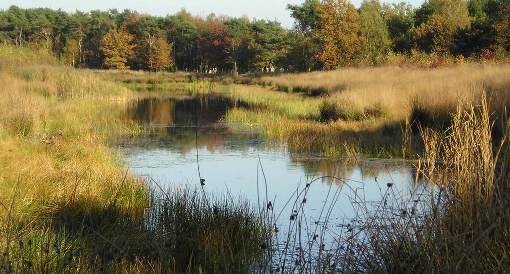 Noord-Oost Brabant