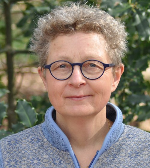 mirjam broekmeijer