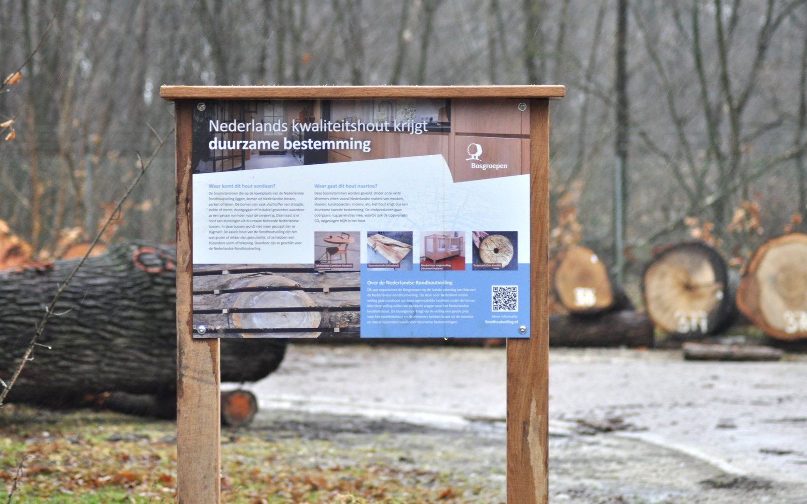 infobord kavelplaats rondhoutveiling