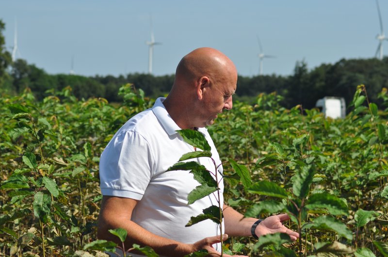 Marc Lodders geeft uitleg bij een perceel met zoete kers.