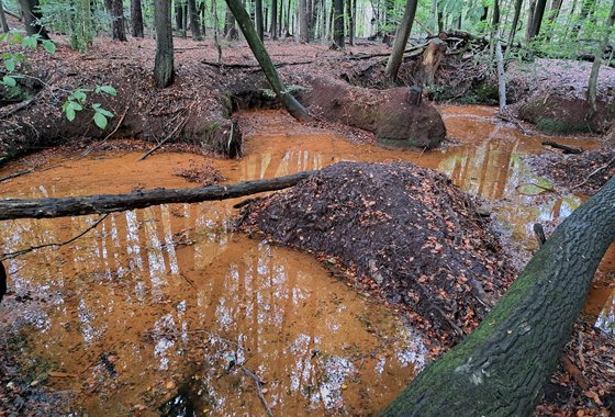 Sprengen met roestrood water door ijzer