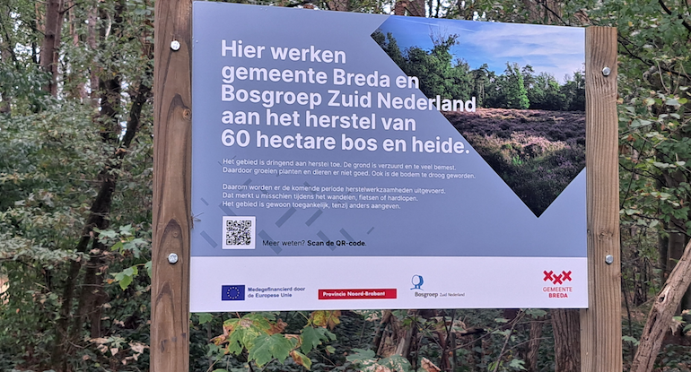 GH-bord