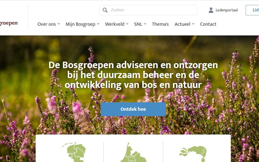 homepage