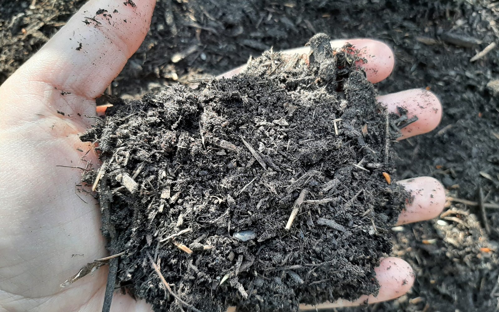 compost-scaled