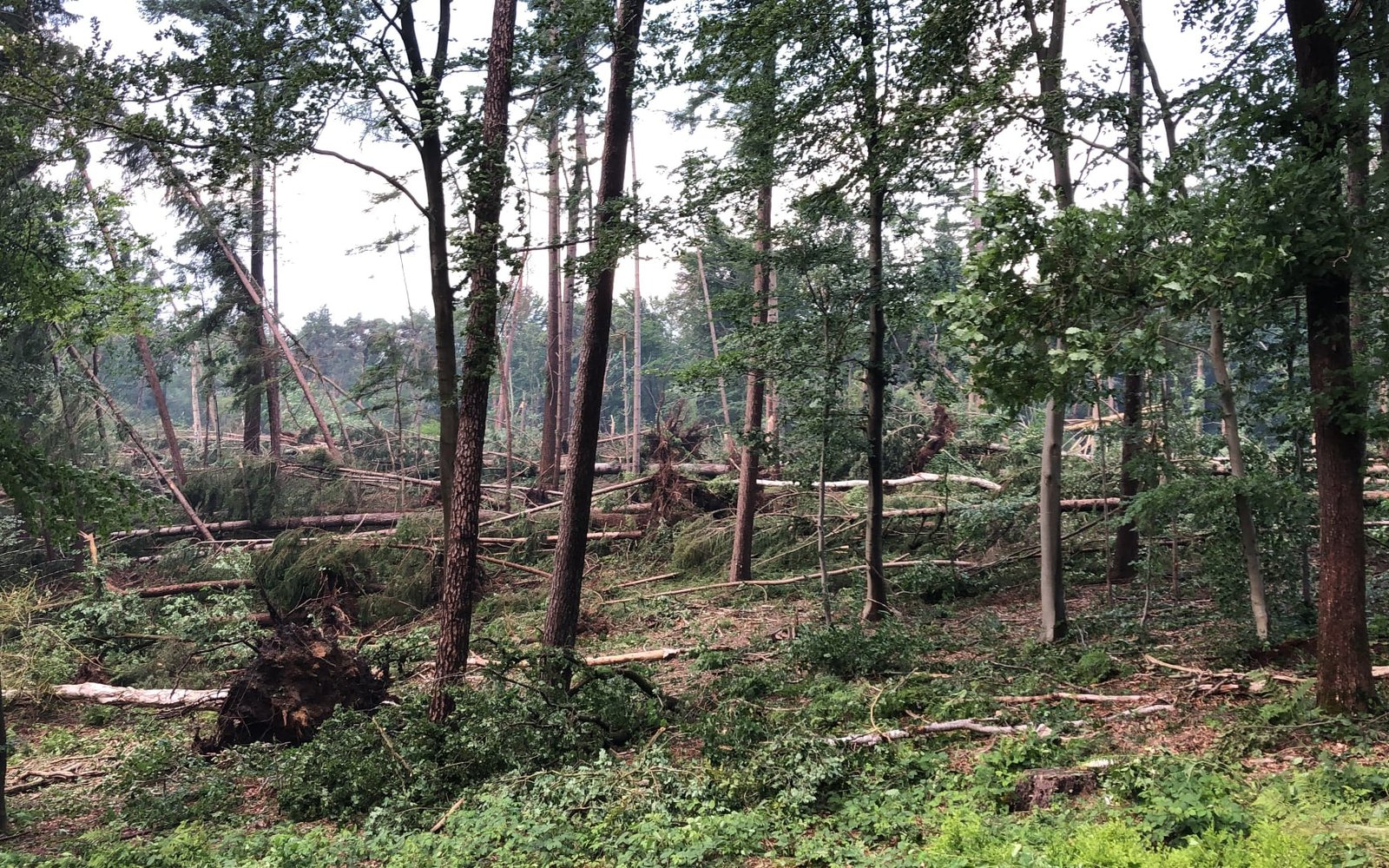 storm-Leersum-juni-2021-22-003