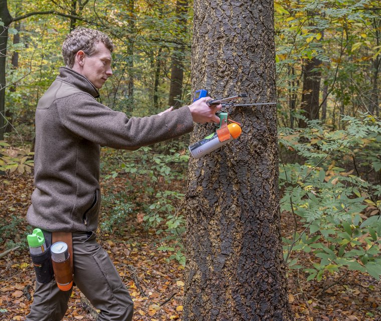 Bosbeheer meten (foto: Marjolein den Hartog)