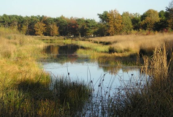 Noord-Oost Brabant