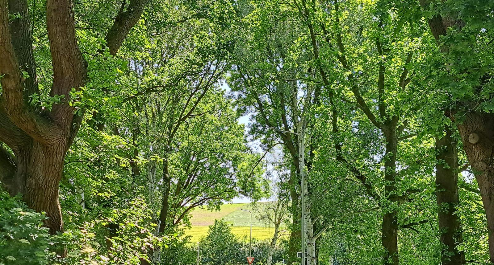 Regiobijeenkomst Zuid-Limburg 2