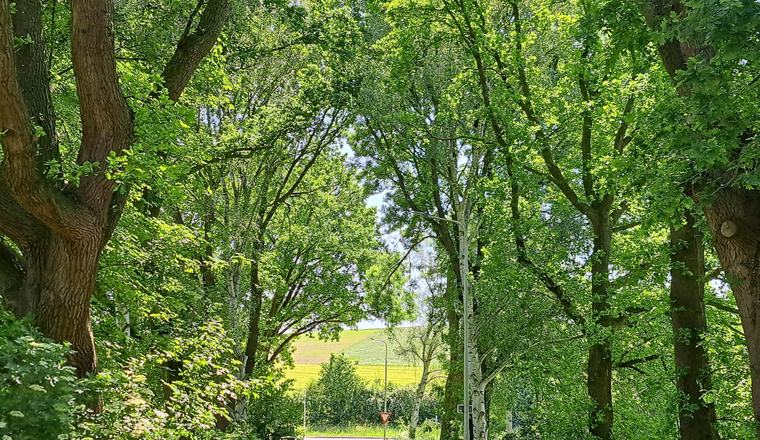 Regiobijeenkomst Zuid-Limburg 2