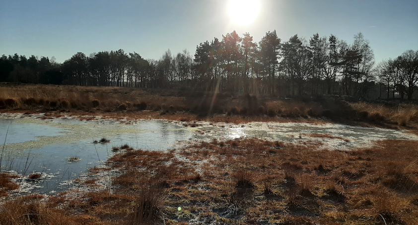 West-Brabant
