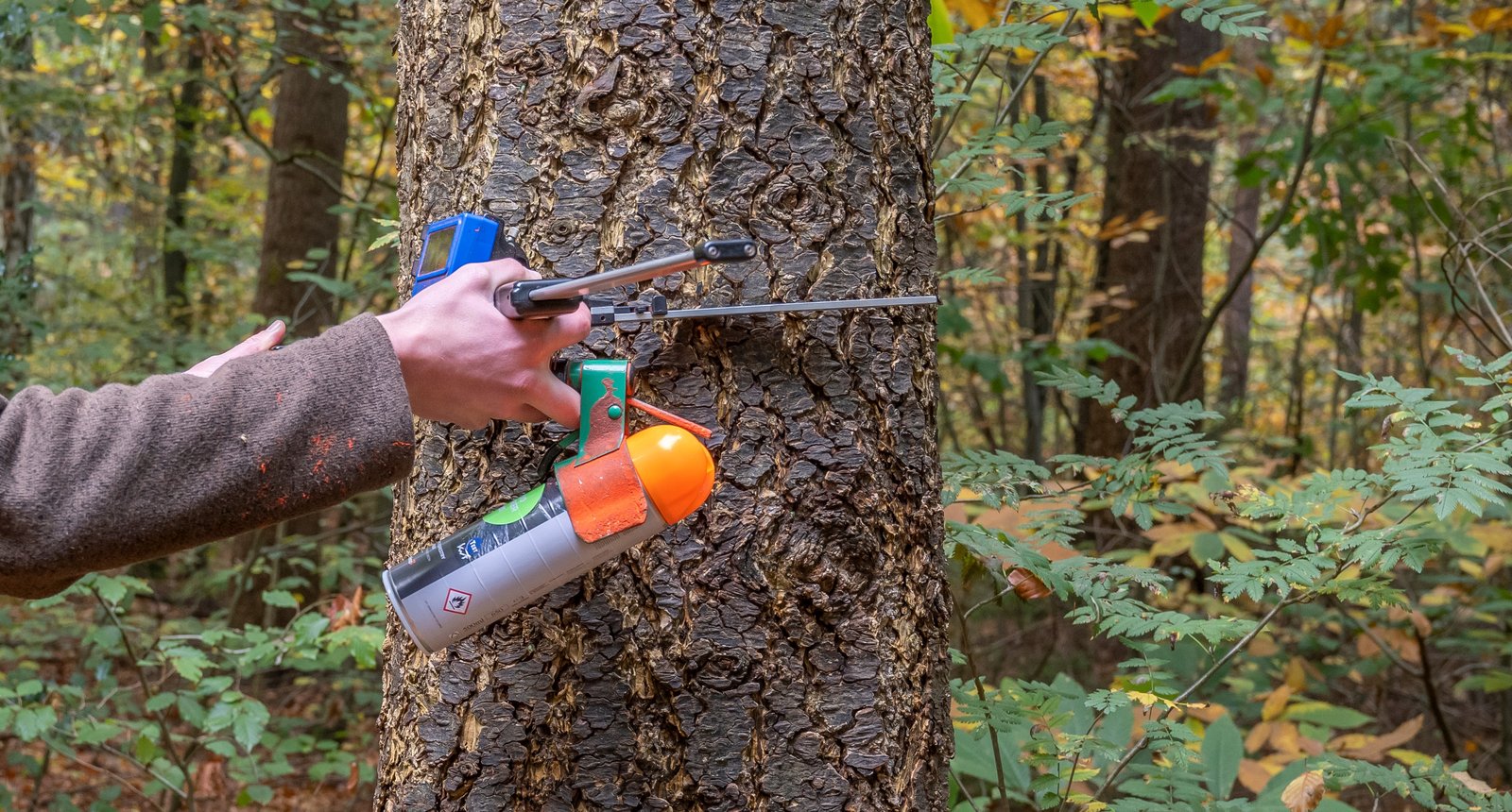 Werkzaamheden bos - meten