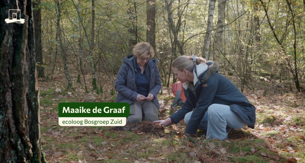 Scherm­afbeelding 2026-01-23 om 11.04.34