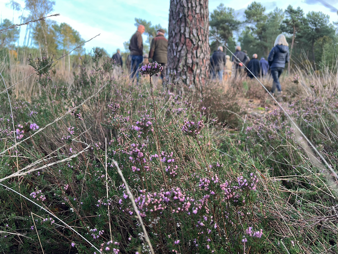 heide-spot