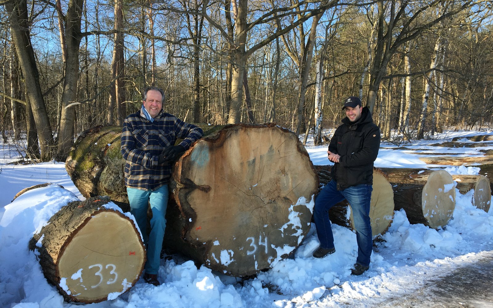 25e NL Rondhoutveiling - foto Bosgroepen