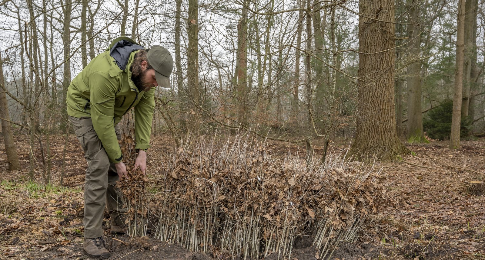 plantsoen bosgroepen