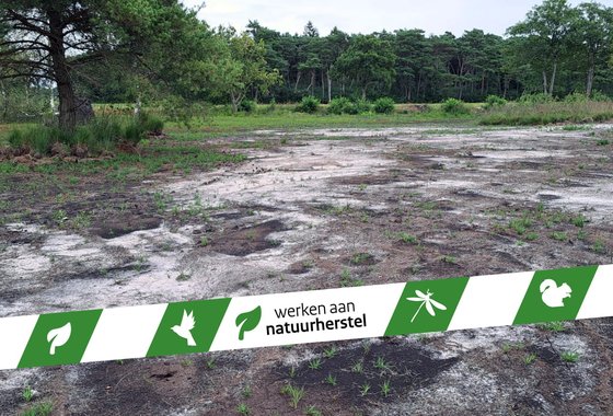 Foto's Lippenhuisterheide