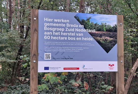 GH-bord