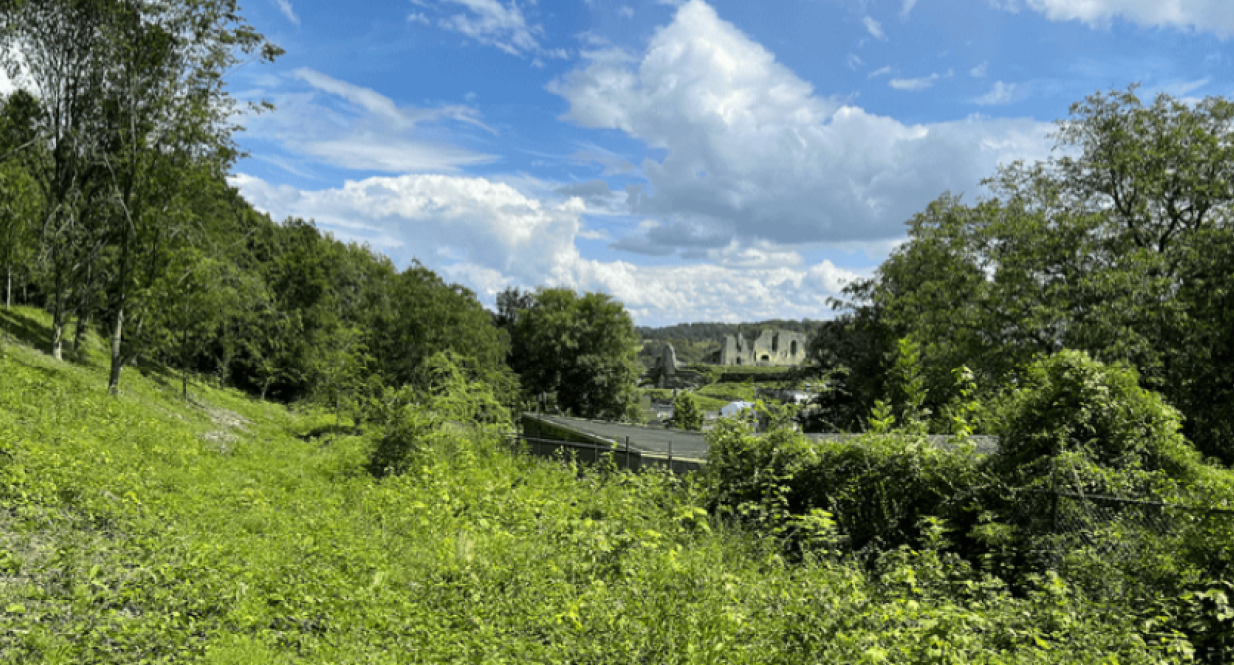 doorkijkje-kasteelruine