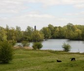 Arnhem-6