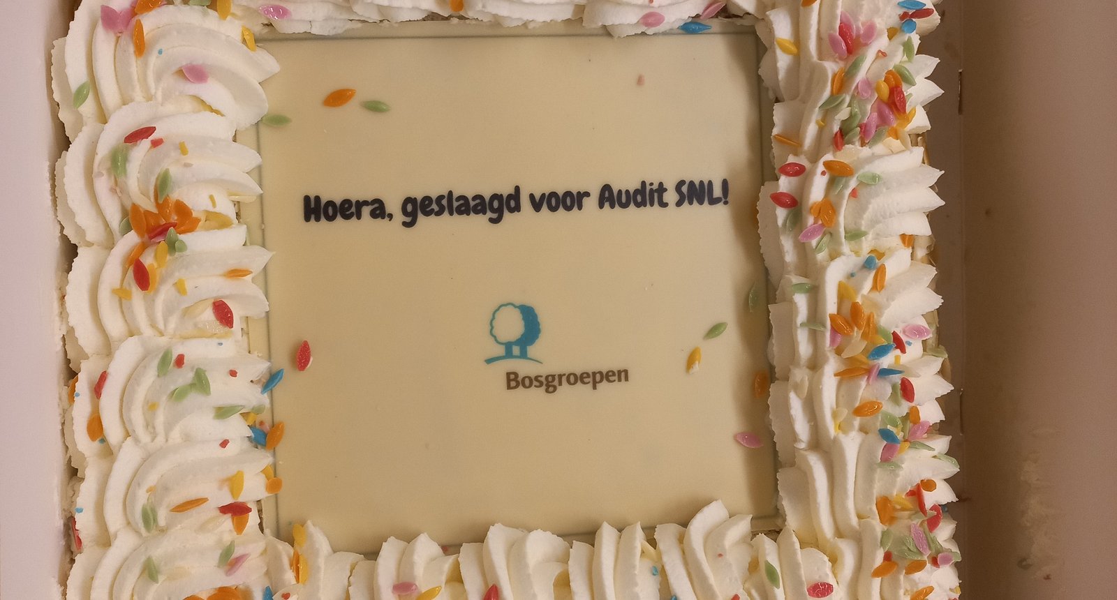taart snl audit