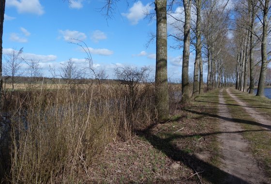 Populierenlaan waterschap Vechtstromen