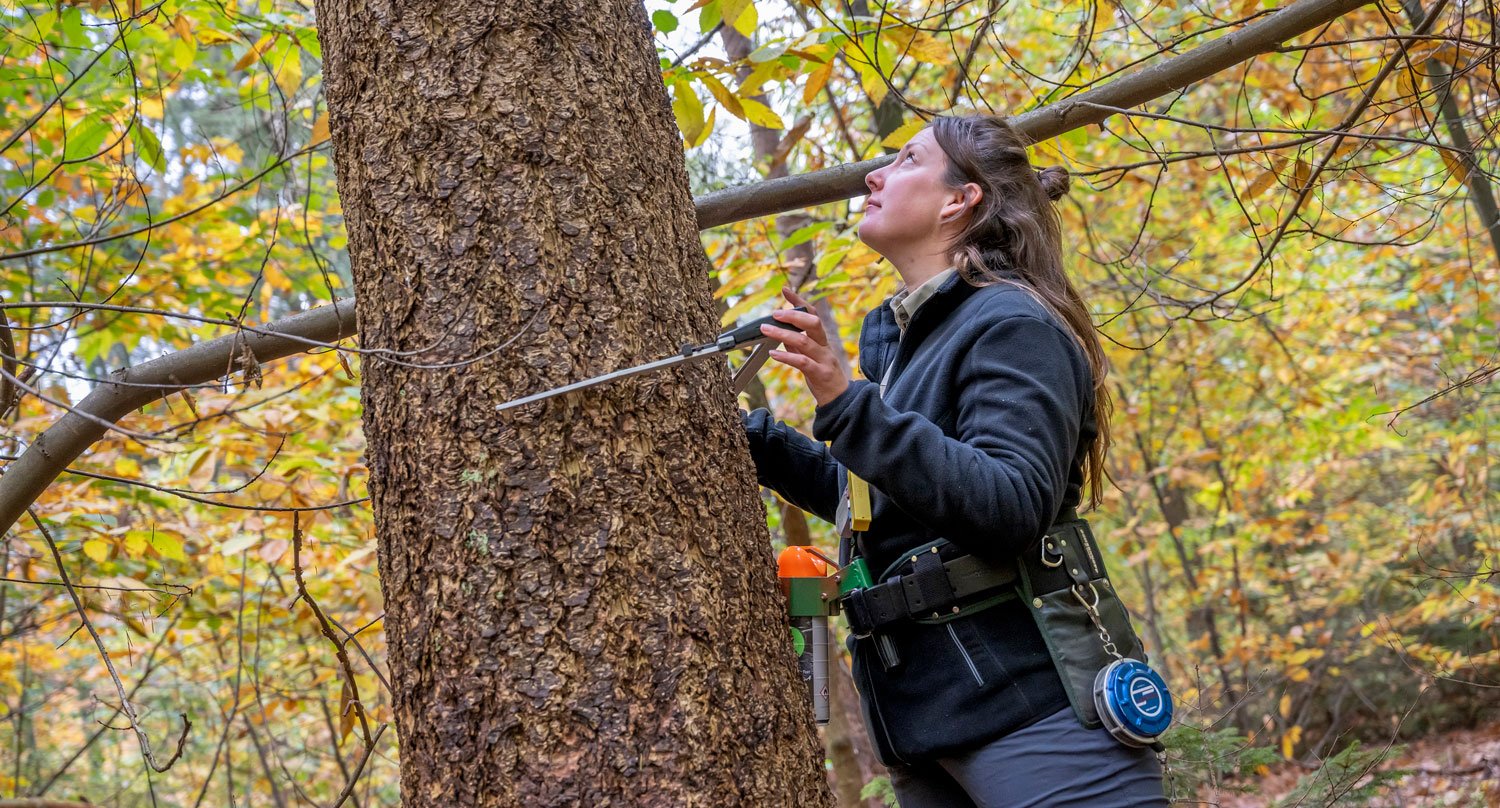 Nastascha-boom-meten-lores