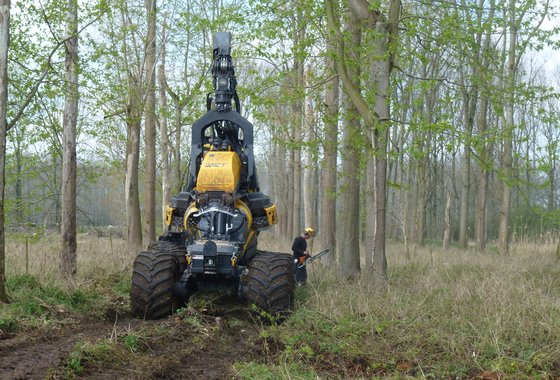 Reserve -houtmachine