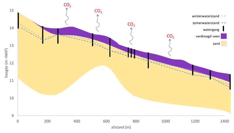 Huidig beeld: watergangen zorgen voor verdroging, veen veraardt, daarbij komt CO2 vrij.
