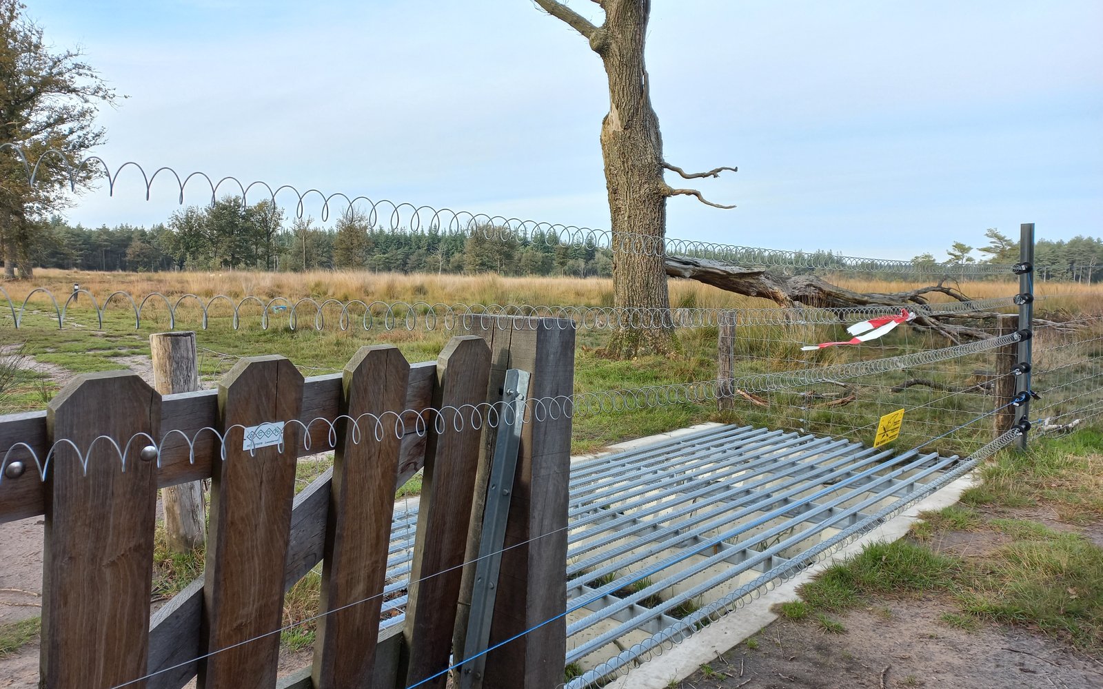 wolfwerend raster drenthe