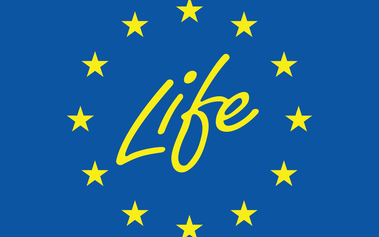 Logo Life