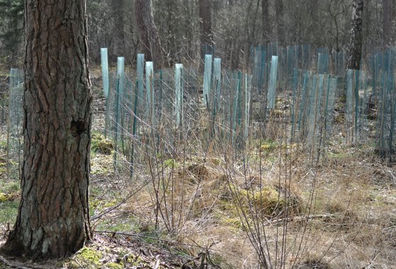 wildbescherming 2