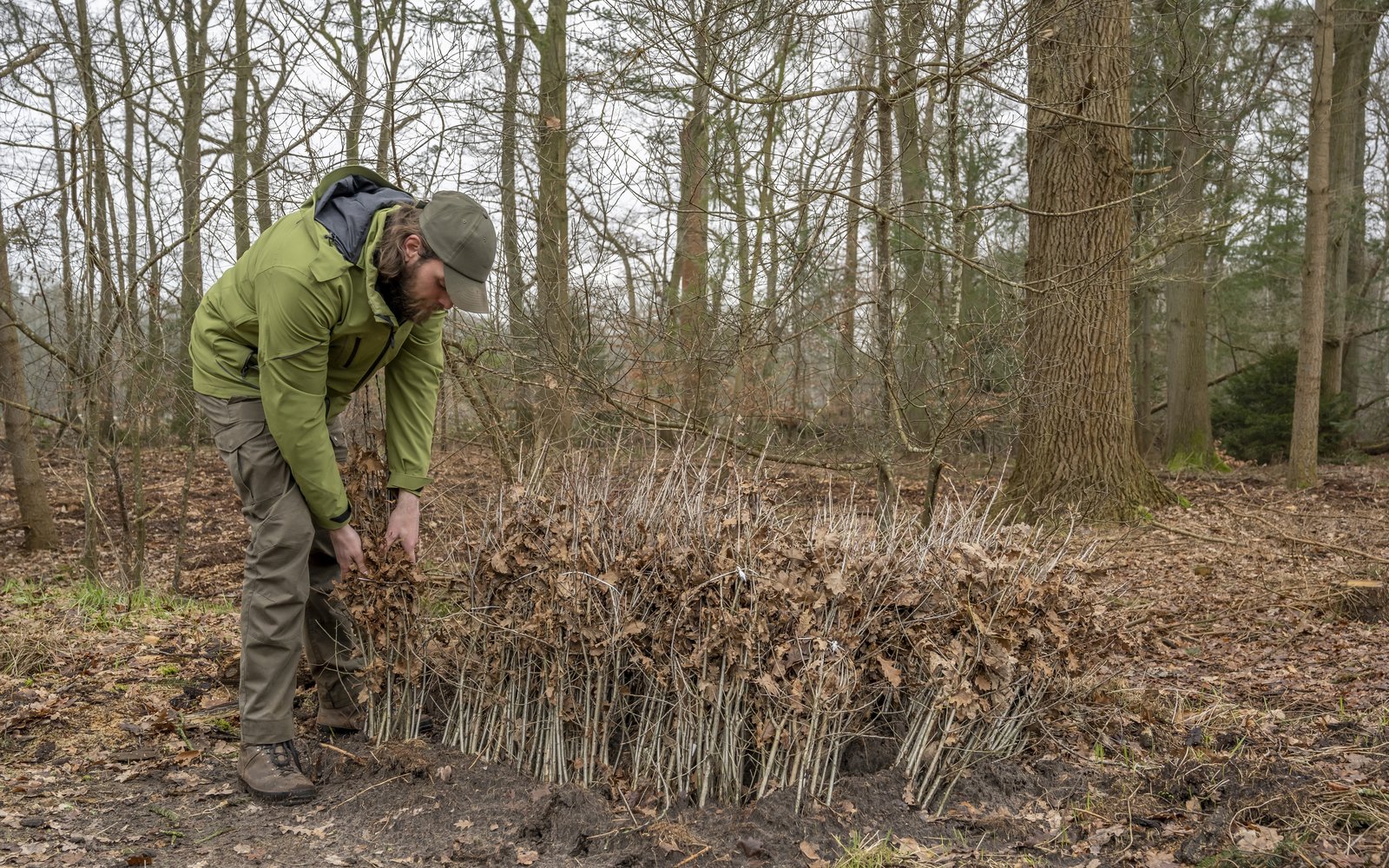 plantsoen bosgroepen