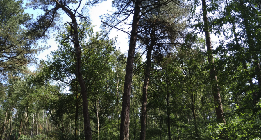 huijbergen-2