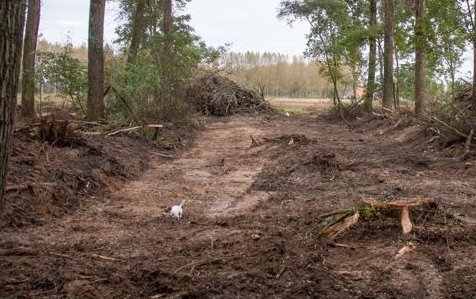 verwijderen-rabatten-leembossen2