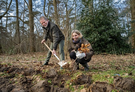 Mirjam Sterk Plan Boom Utrecht jan 2026